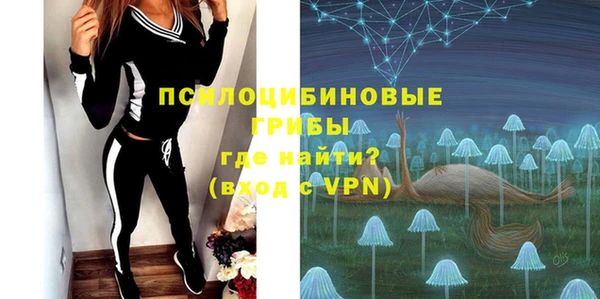 амф Инта