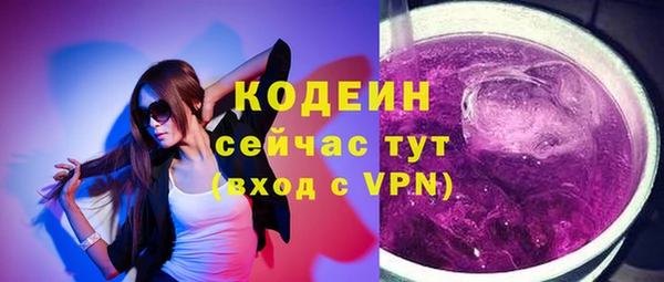 гидра Кущёвская