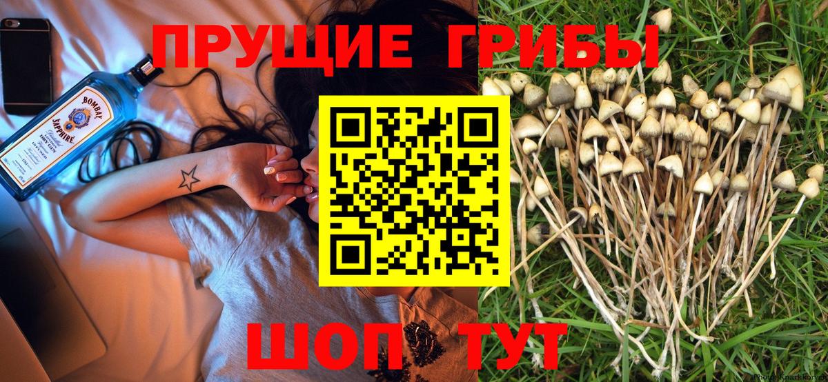 Псилоцибиновые грибы мухоморы Ишимбай