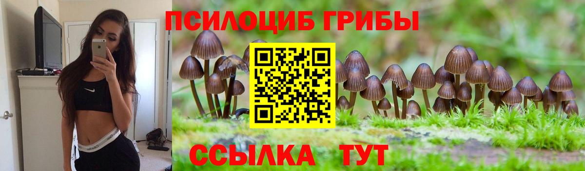 Псилоцибиновые грибы мухоморы  Вход с VPN  Ишимбай 